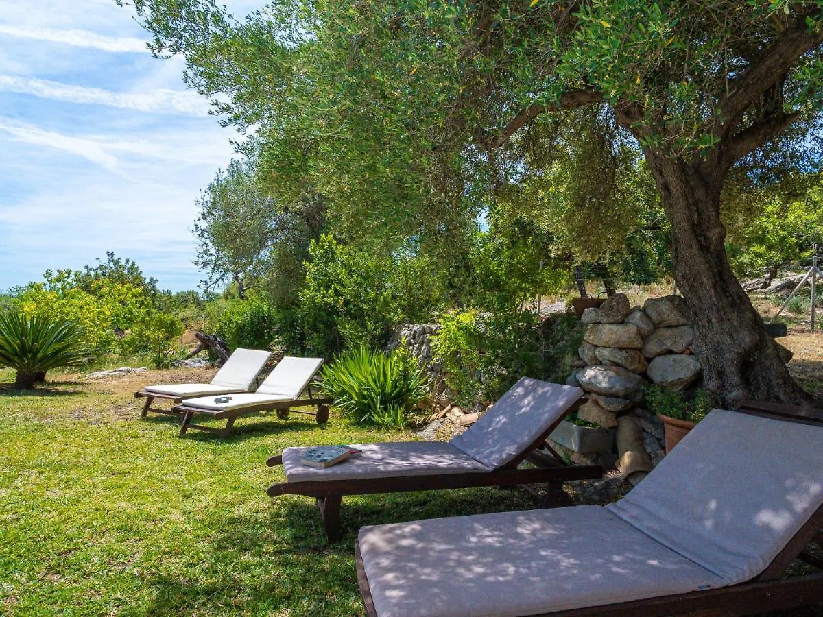 Villa Sa Coma Caimari By Interhome Spanien